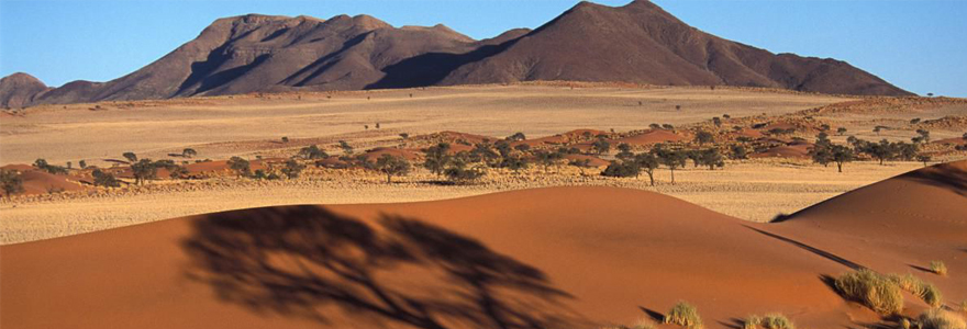 Le désert de Namibie