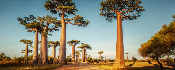 Madagascar