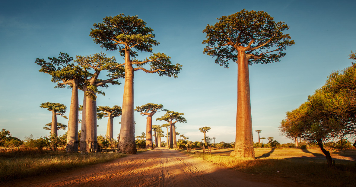 Madagascar
