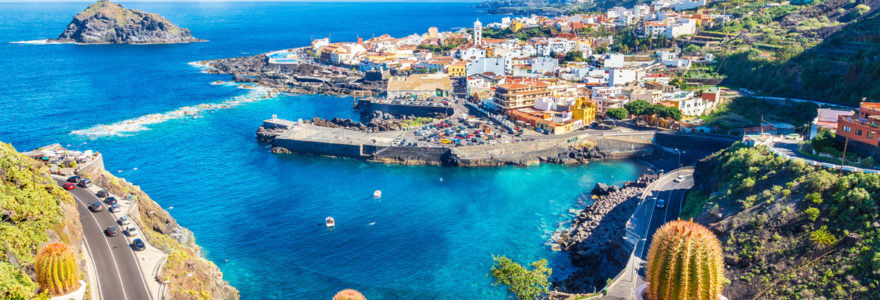 Canaries